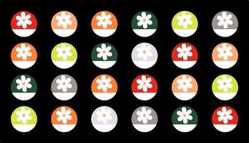 Colorful Daisy & Circle #1016