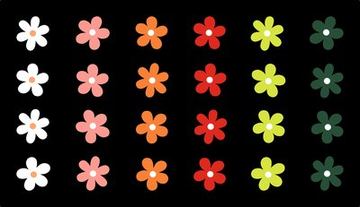 Colorful Daisy #1017