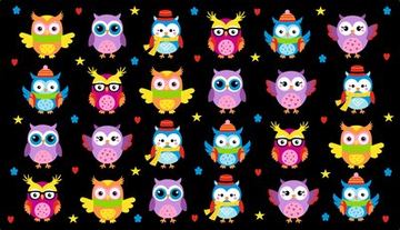 Colorful Owls Rug