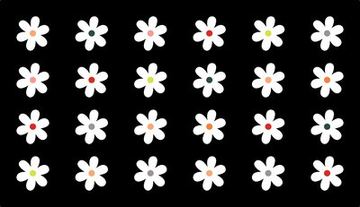 Colorful Daisy #1585