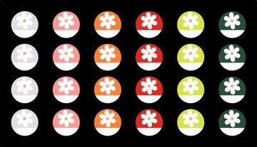 Colorful Daisy & Circle #1586